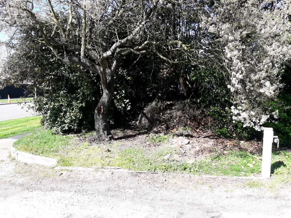 The photograph attached to this parks report