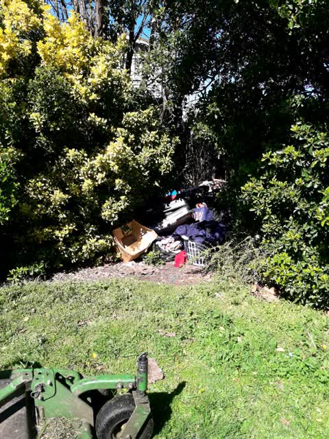 Parks, a report photo