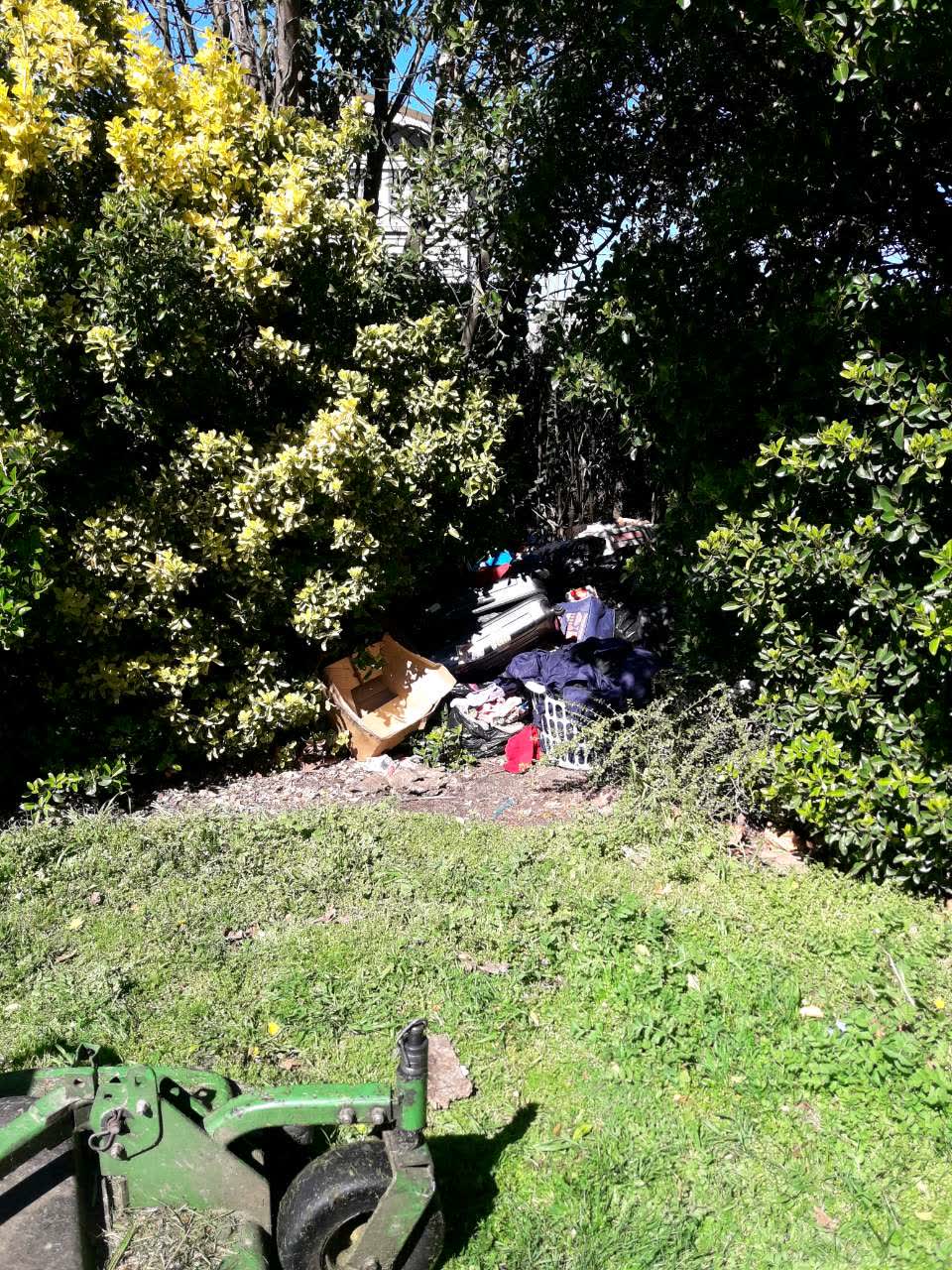 The photograph attached to this parks report
