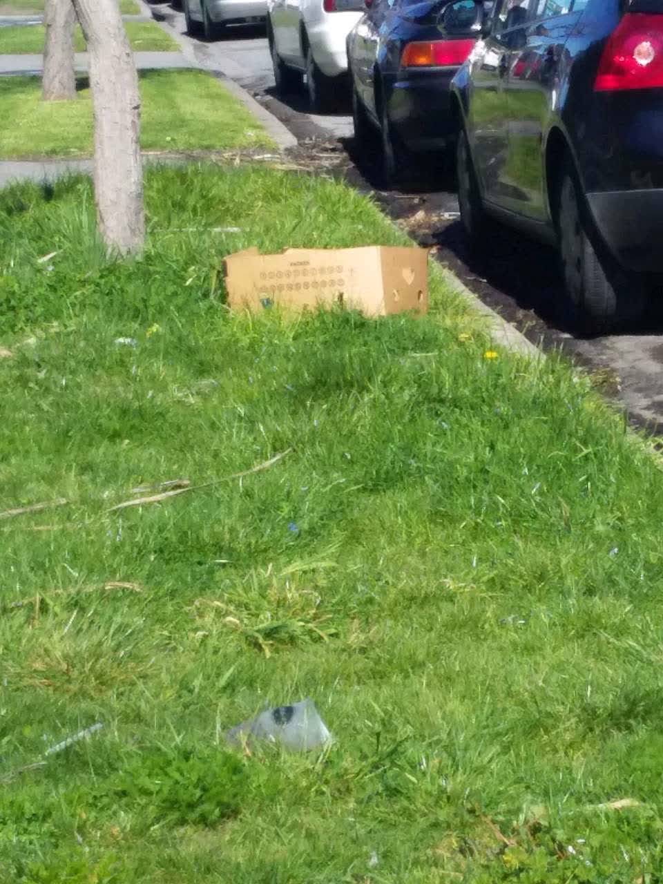 The photograph attached to this rubbish/recycling report