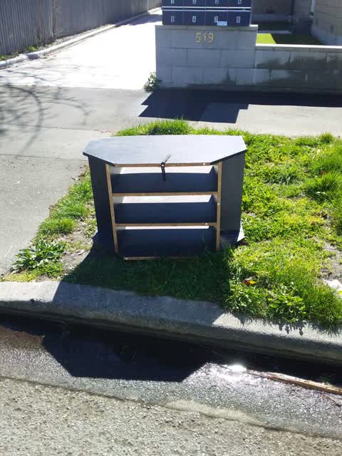Rubbish/Recycling, a report photo