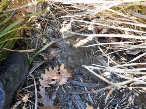 Flooding, a report photo
