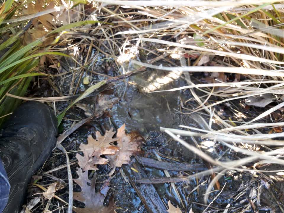The photograph attached to this flooding report