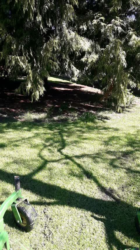 Parks, a report photo