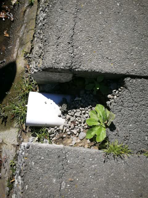 Roading/Streets, a report photo