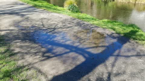 Parks, a report photo