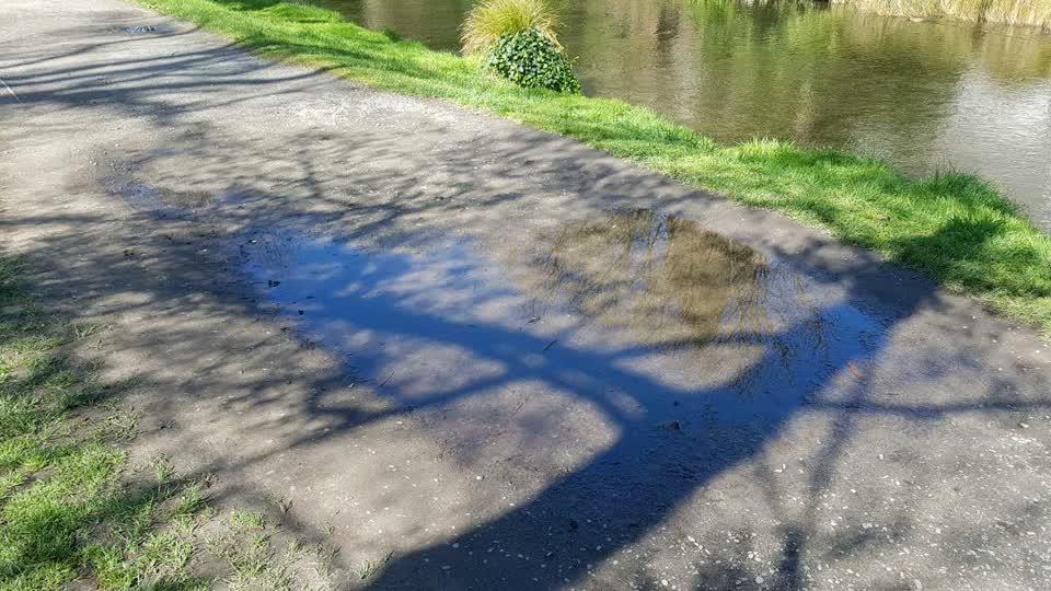 The photograph attached to this parks report