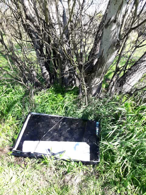 Parks, a report photo
