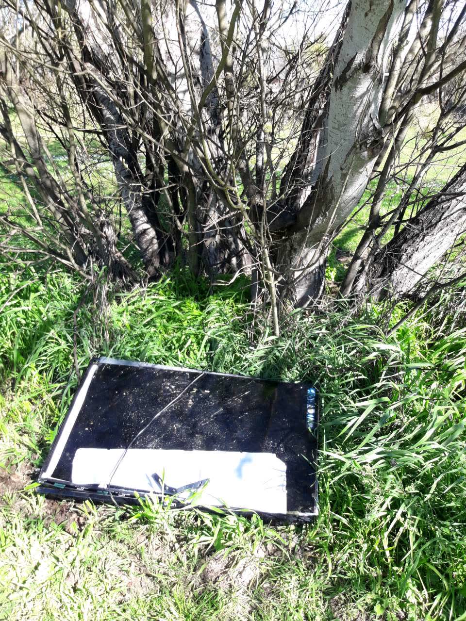 The photograph attached to this parks report