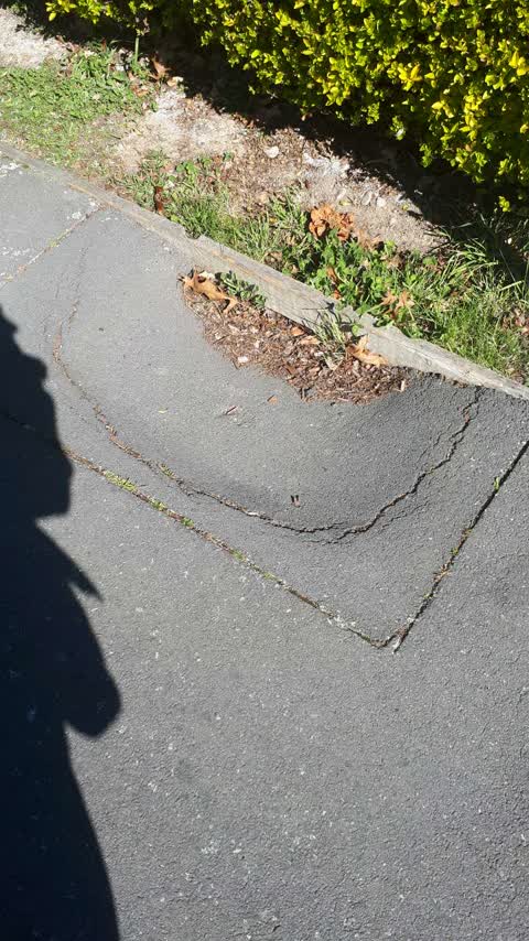 Roading/Streets, a report photo