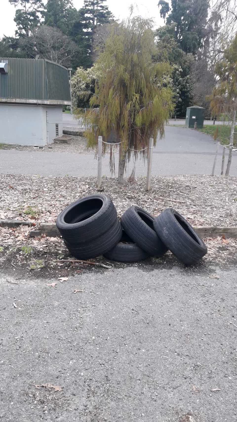 The photograph attached to this rubbish/recycling report