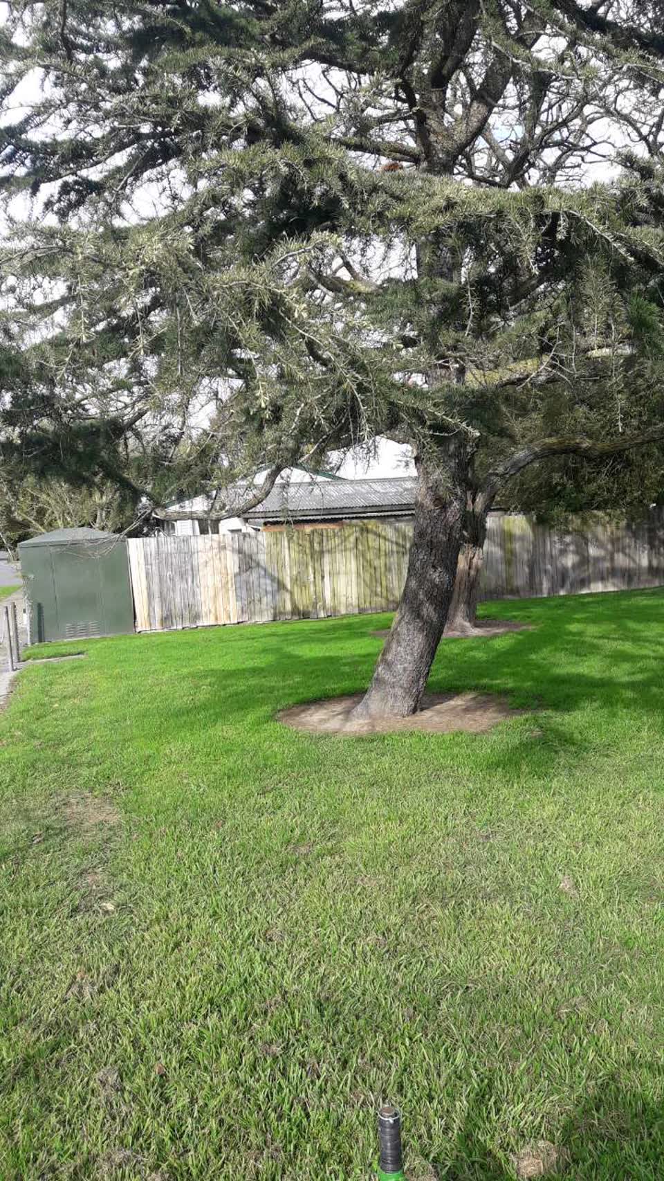 The photograph attached to this parks report
