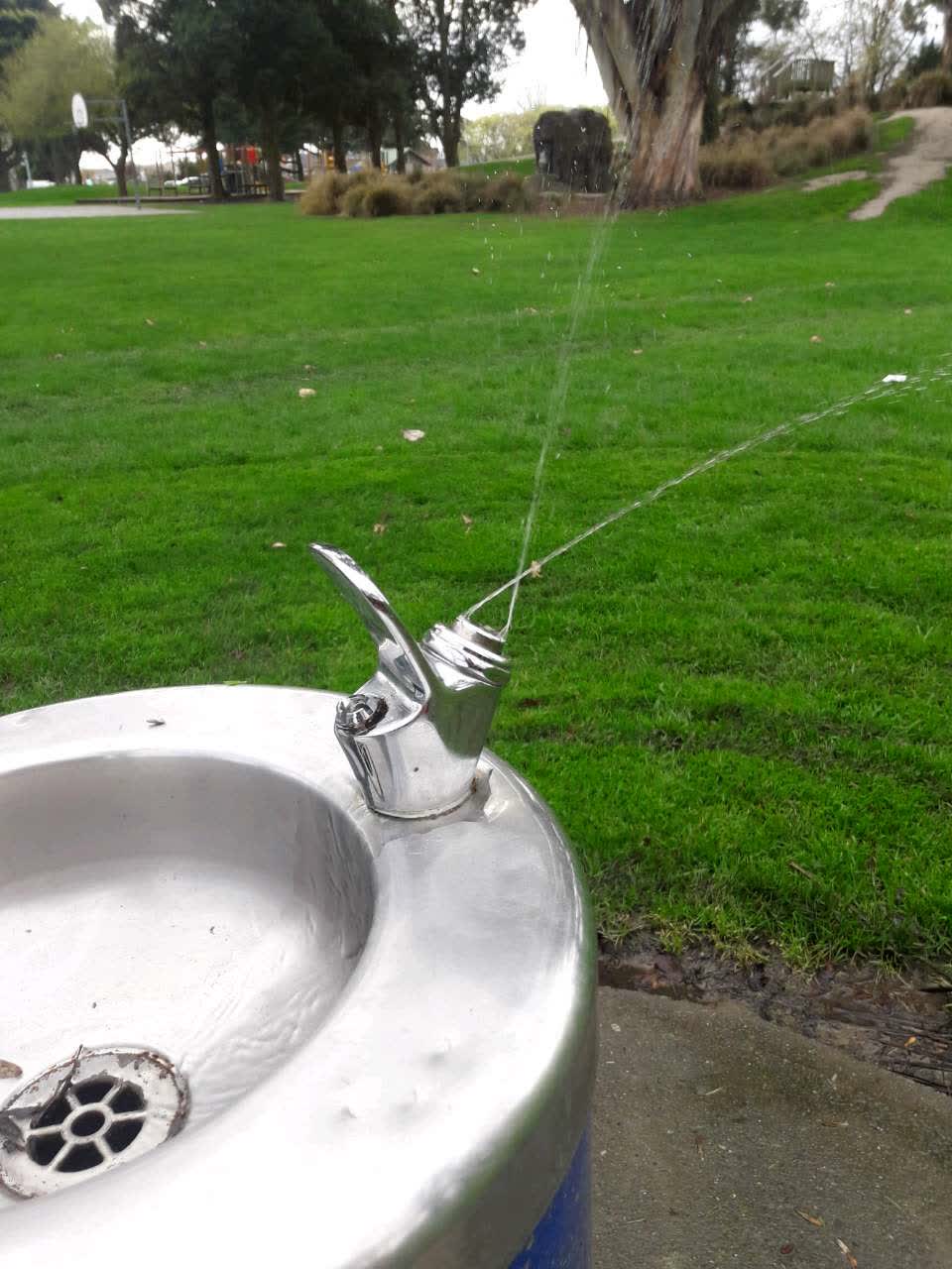 The photograph attached to this parks report