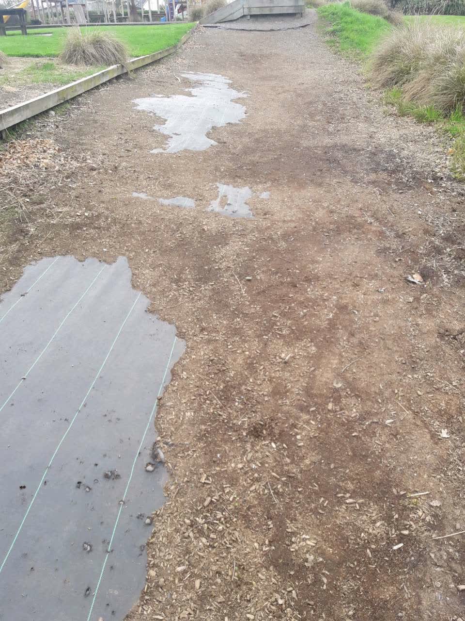 The photograph attached to this parks report