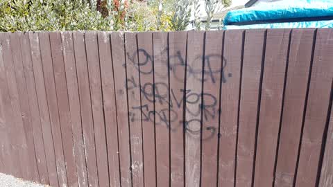 Graffiti, a report photo