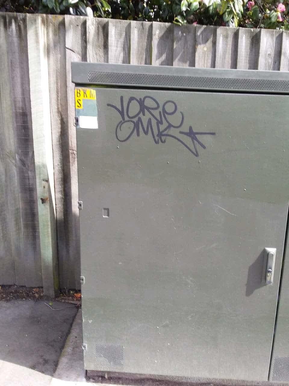 The photograph attached to this graffiti report