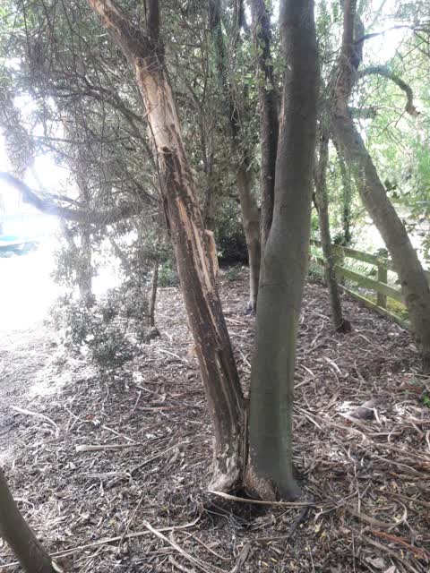 Parks, a report photo