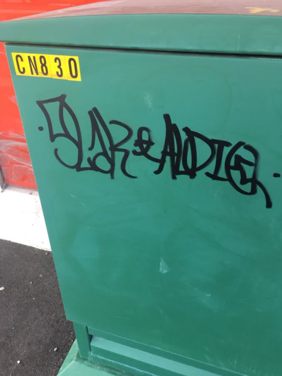 The photograph attached to this graffiti report