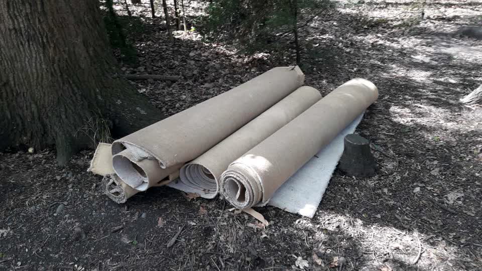 The photograph attached to this parks report