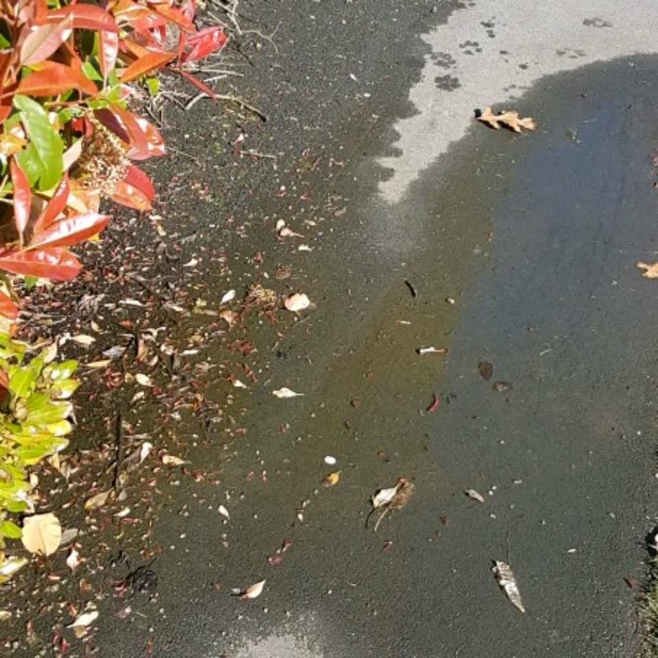 The photograph attached to this flooding report