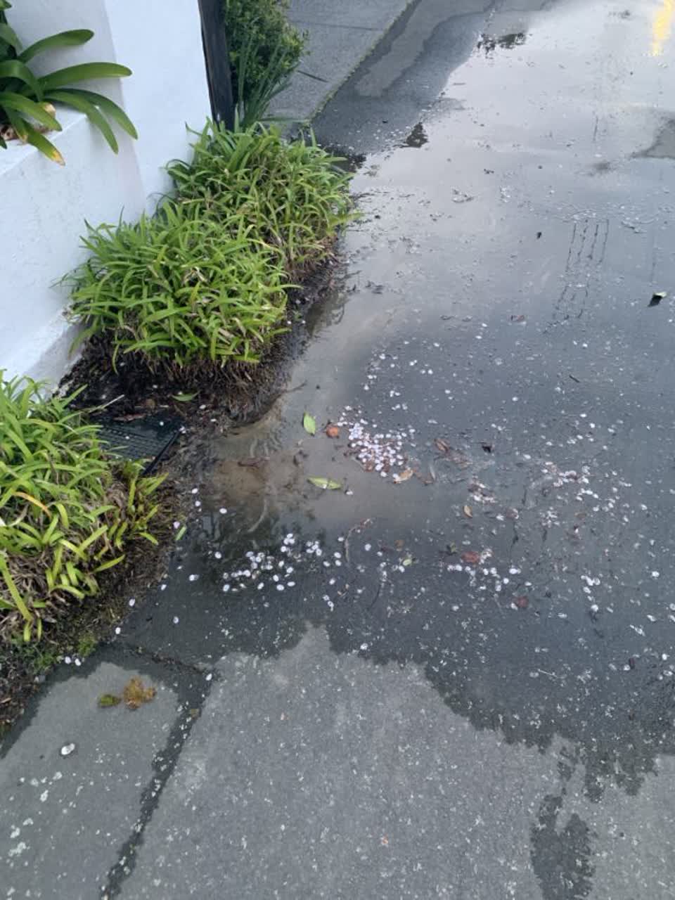 The photograph attached to this water supply report