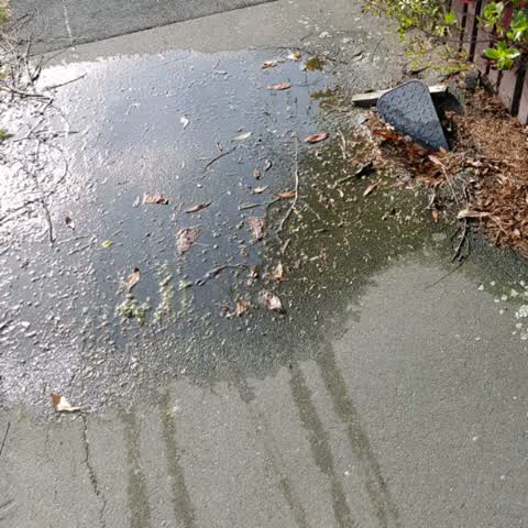 Wastewater/Stormwater, a report photo