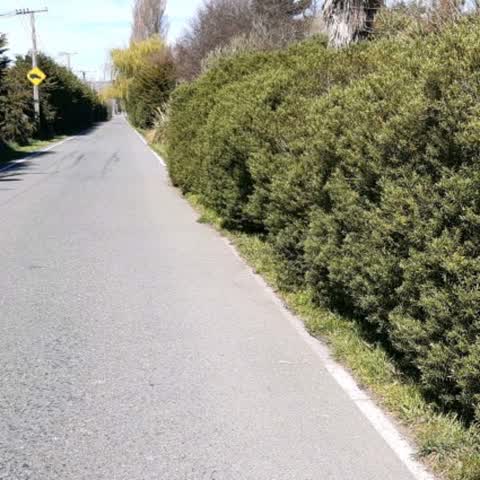Roading/Streets, a report photo