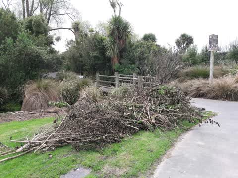 Parks, a report photo