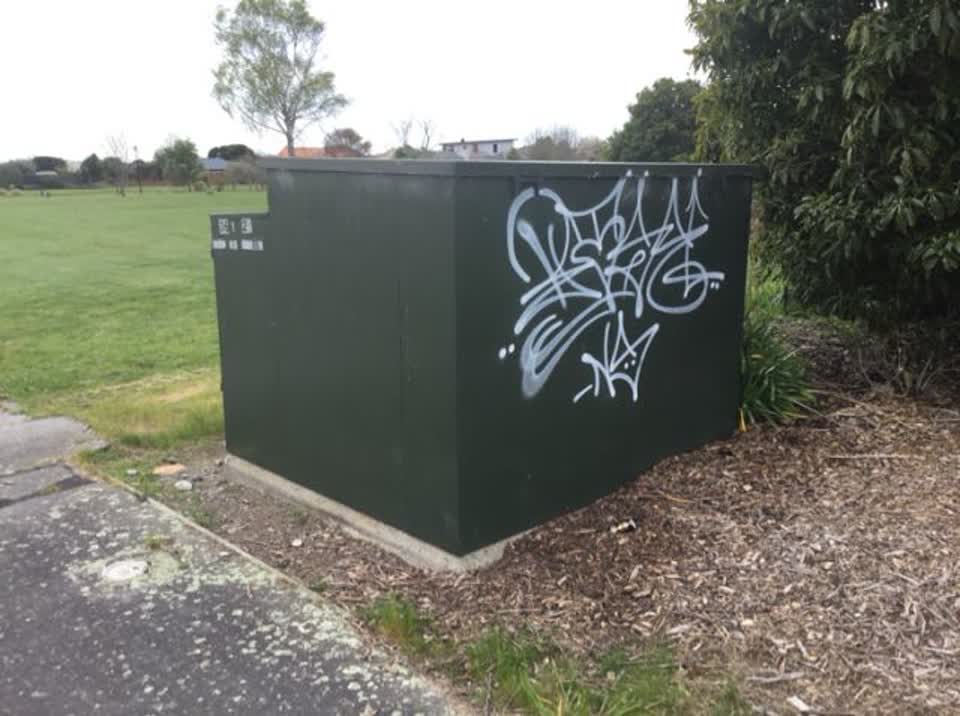 The photograph attached to this graffiti report