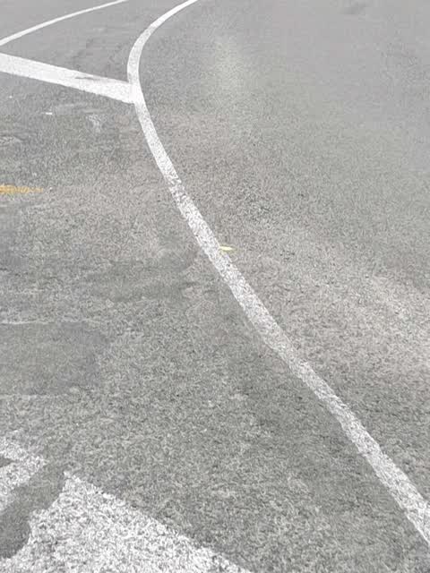 Roading/Streets, a report photo