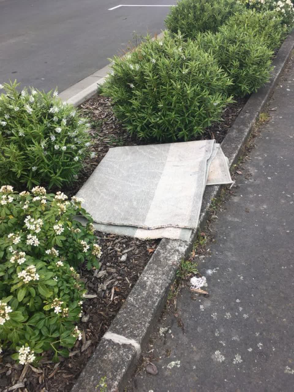 The photograph attached to this rubbish/recycling report