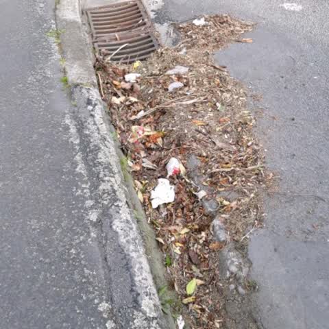 Roading/Streets, a report photo