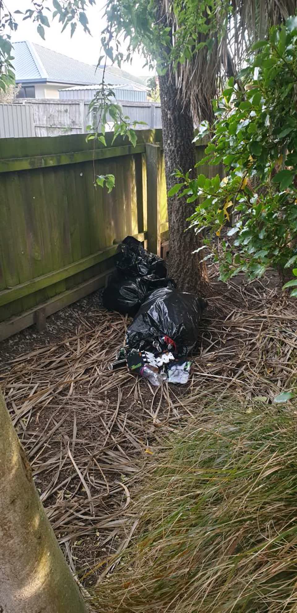 The photograph attached to this parks report