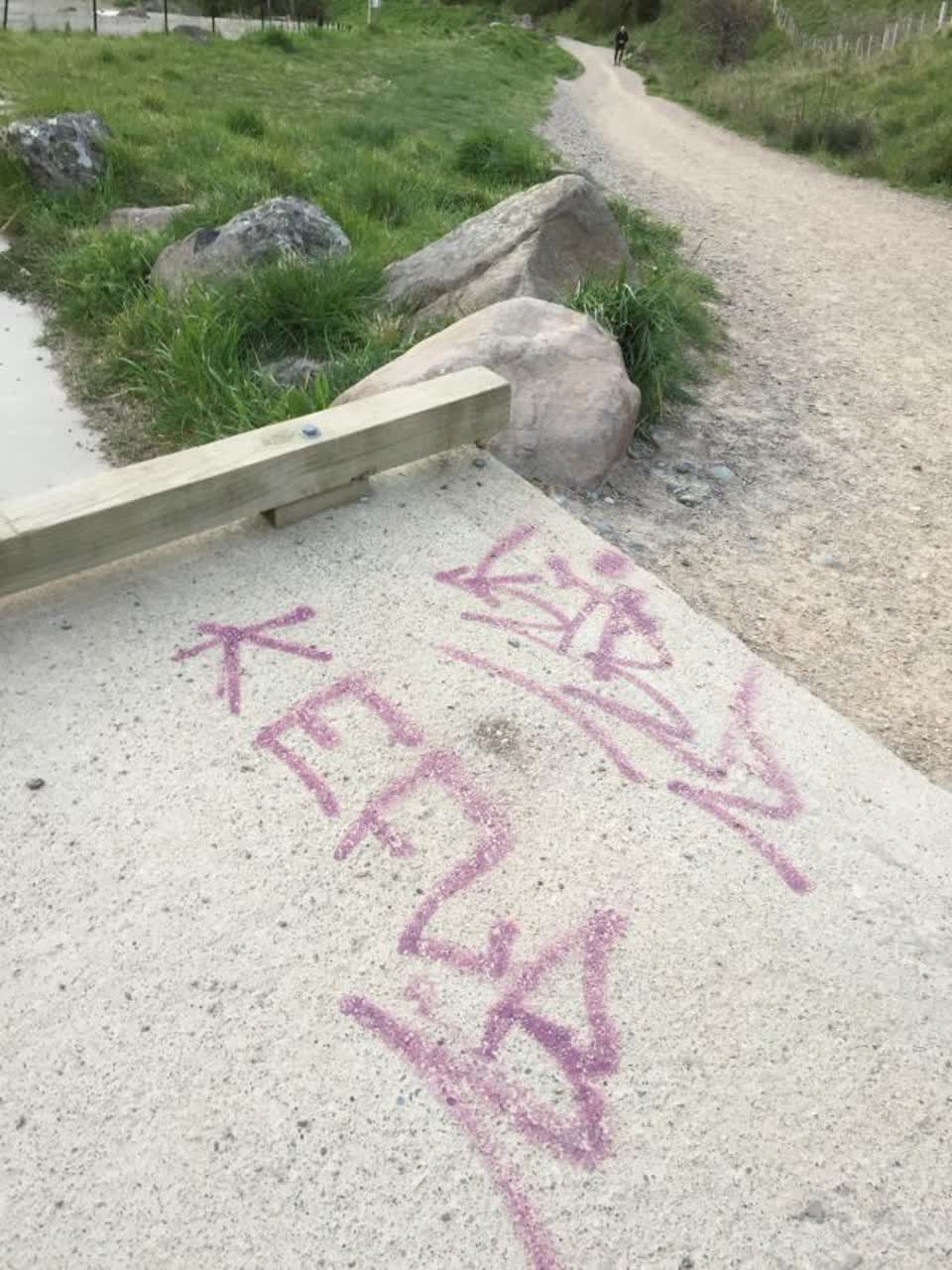 The photograph attached to this graffiti report
