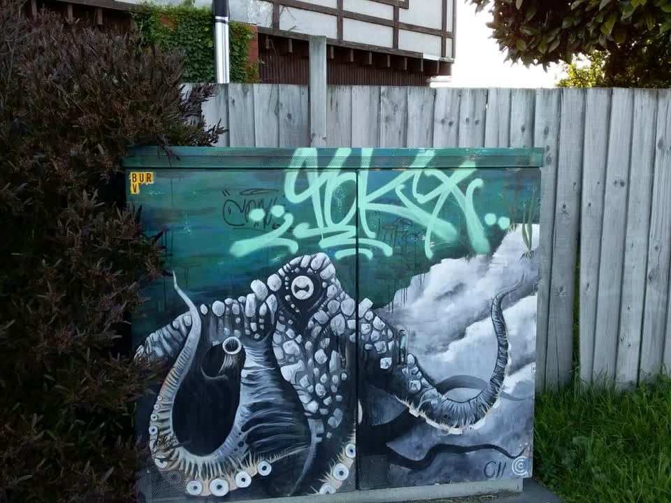 The photograph attached to this graffiti report
