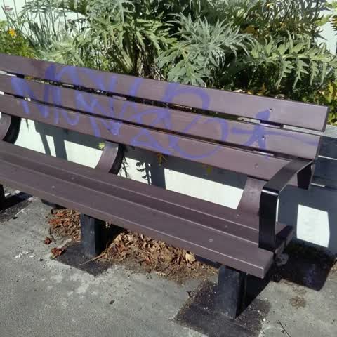 Graffiti, a report photo