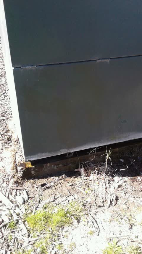 Water Supply, a report photo