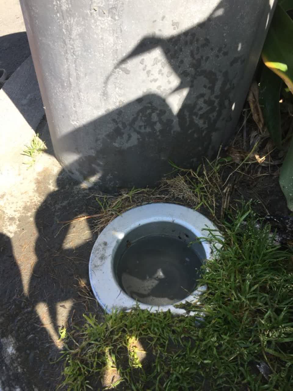 The photograph attached to this water supply report