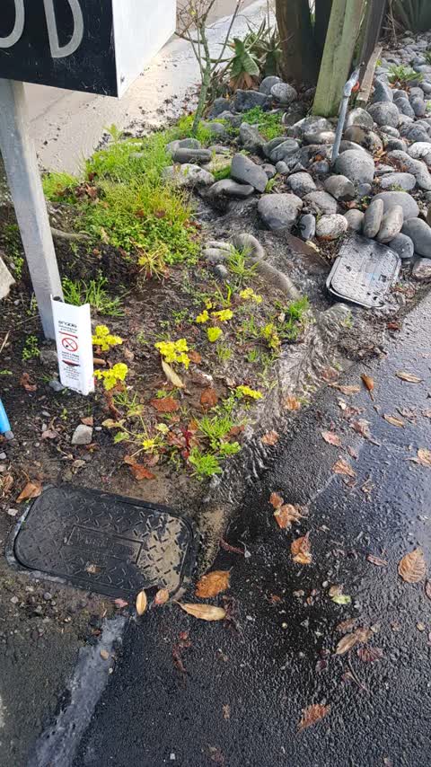 Wastewater/Stormwater, a report photo