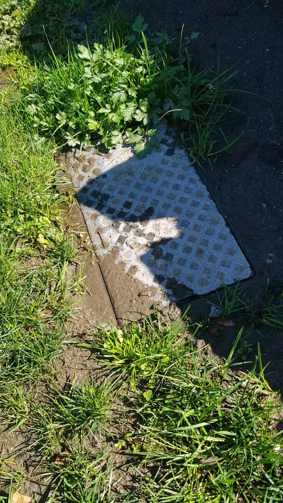 The photograph attached to this water supply report