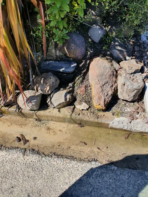 Water Supply, a report photo