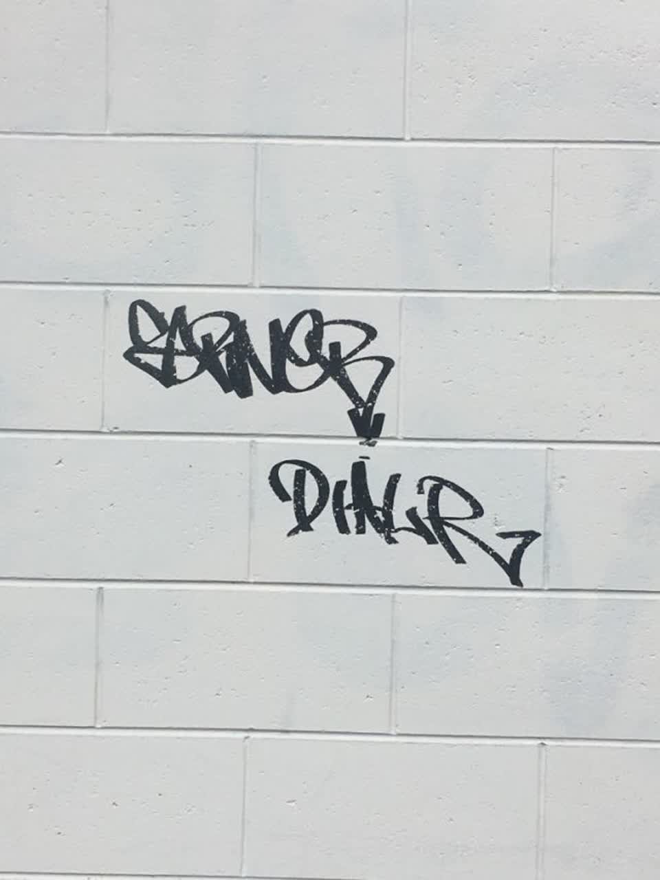 The photograph attached to this graffiti report