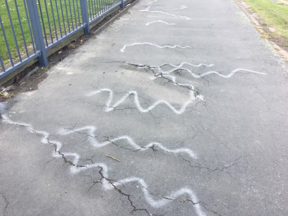 The photograph attached to this roading/streets report