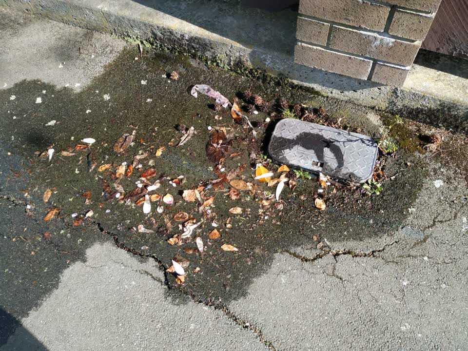 The photograph attached to this water supply report
