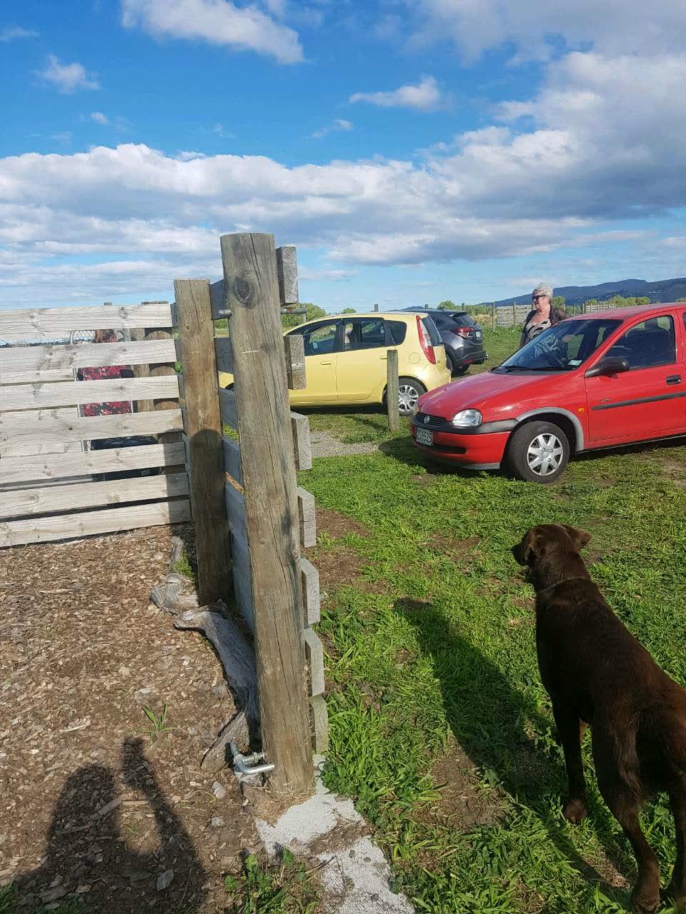 The photograph attached to this parks report