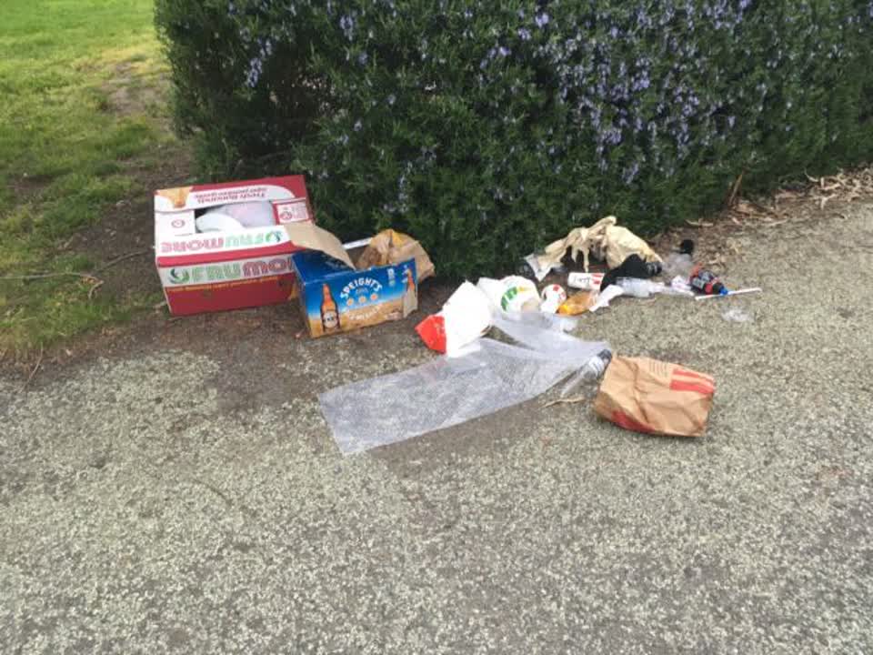 The photograph attached to this rubbish/recycling report
