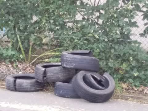 Rubbish/Recycling — a report photo
