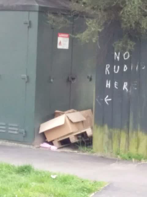 Rubbish/Recycling, a report photo