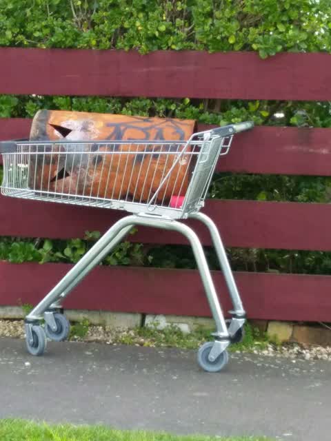 Rubbish/Recycling, a report photo