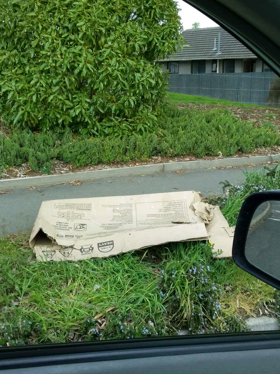 The photograph attached to this rubbish/recycling report